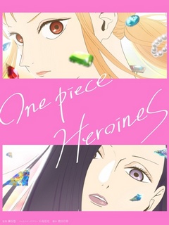 One Piece Novel Heroines